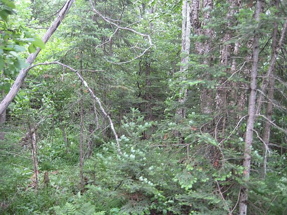 2nd image of 40 Acres Hwy 64 And Hwy #107