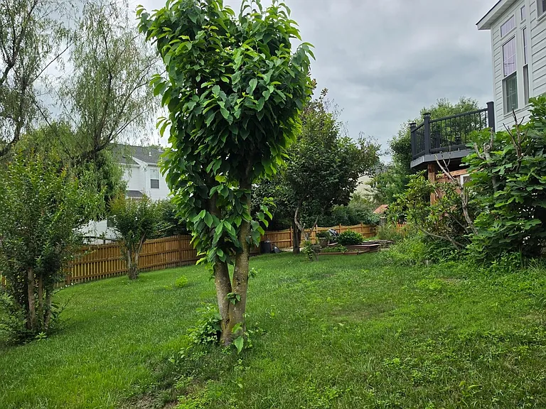 17204 Sumac Ct — Photo 44