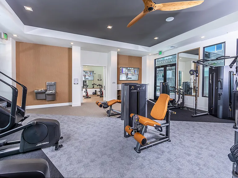 State-of-the-art equipment for a fully body workout