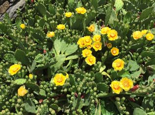 11 S Valley Rd, Pelham, MA 01002