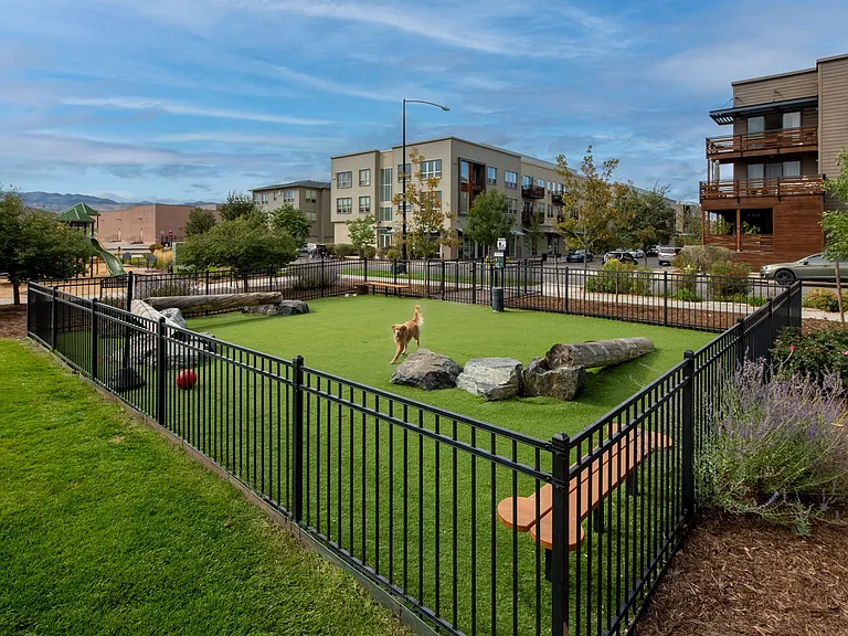 Pet Park