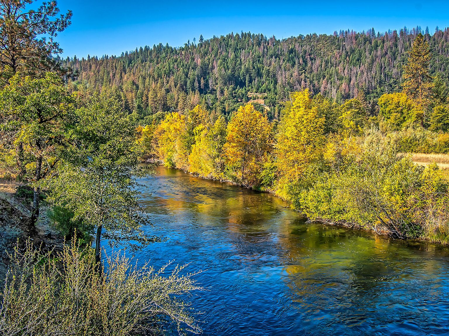 441 Reo Ln, Douglas City, CA 96024 MLS 225054 Zillow