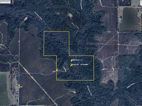 1950 Wilma Rd Lot Wp001, Mc David, FL 32568