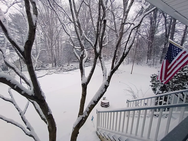 Front yard after a beautiful snowfall.