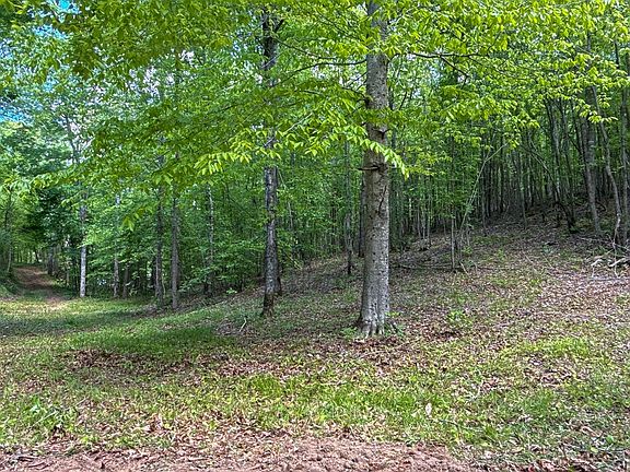 2nd image of 1 Highway 100 W Lot 1