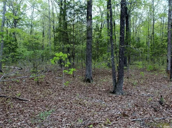 Old McIntire Ln, Mountain View, AR 72560