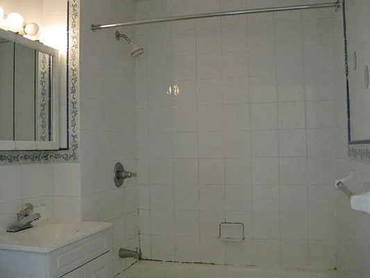 Rented by J Misrahi Realty Corp | media 15