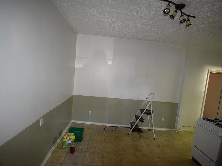 119 Henrietta St. — Photo 3