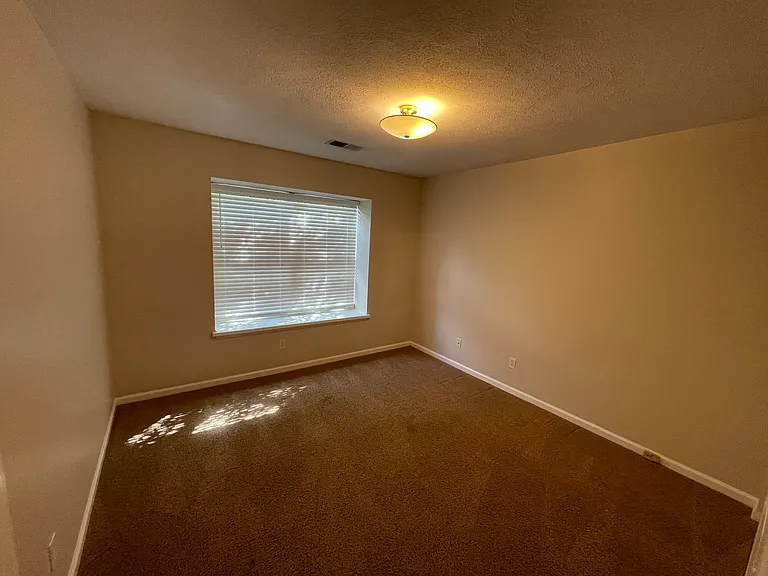 10715 Hickory Cove Ct — Photo 3