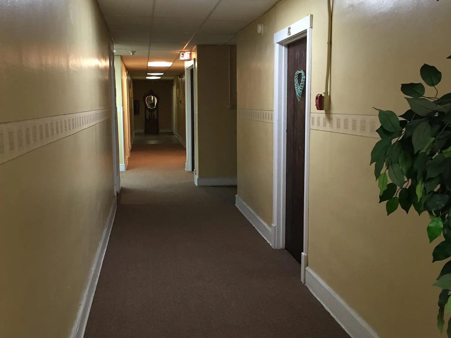 2 bed, $900 — Photo 3