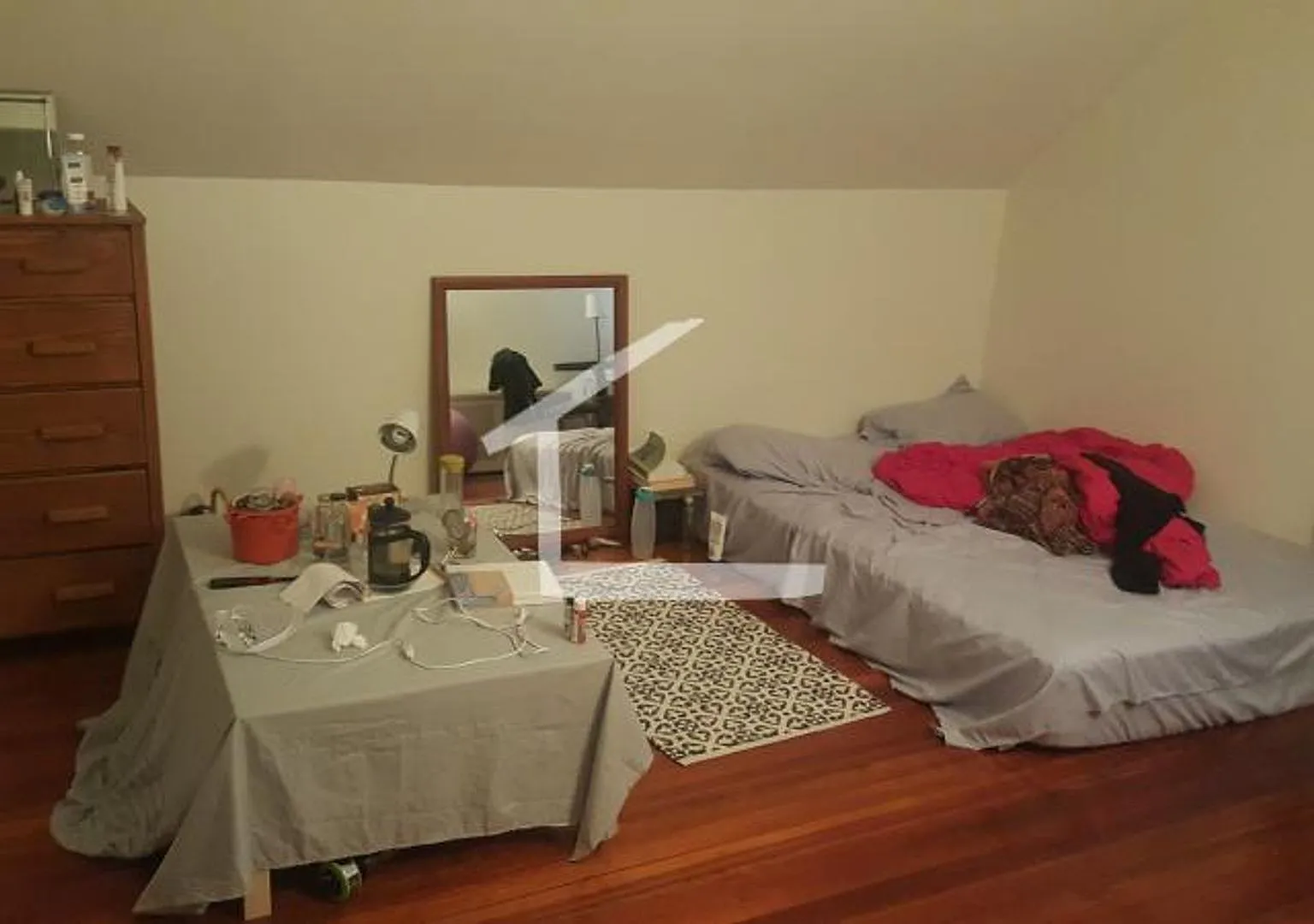 Beautiful 3 Bed/ 1 Bath Available 9/1/26 — Photo 3