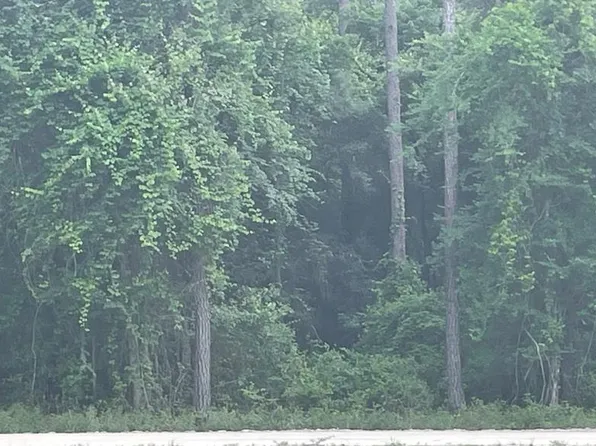 0 Spruce St, Jesup, GA 31545