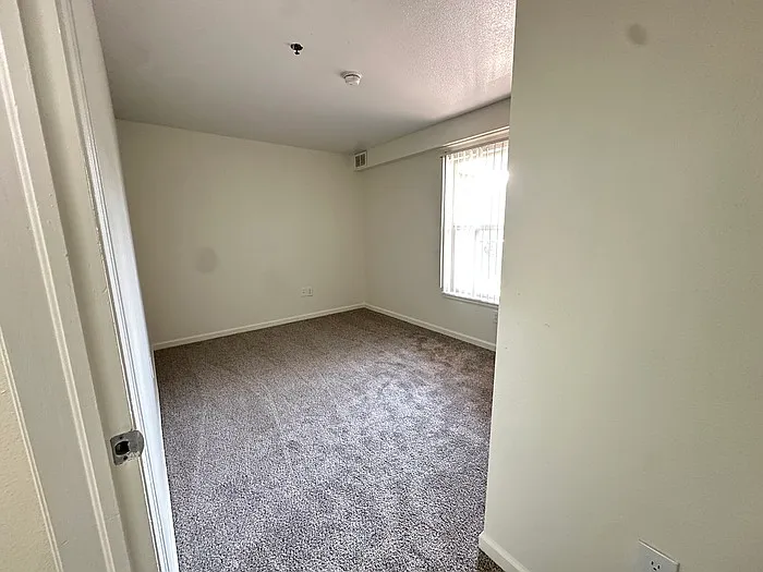 10774 Belle Creek Blvd #219 — Photo 6