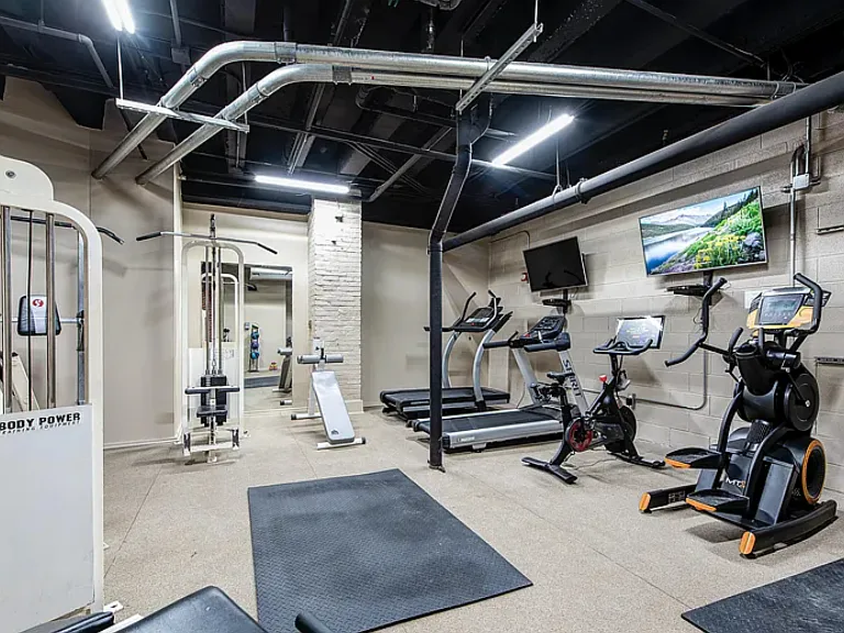 Peloton, Nordic Track, and more _ no gym membership needed