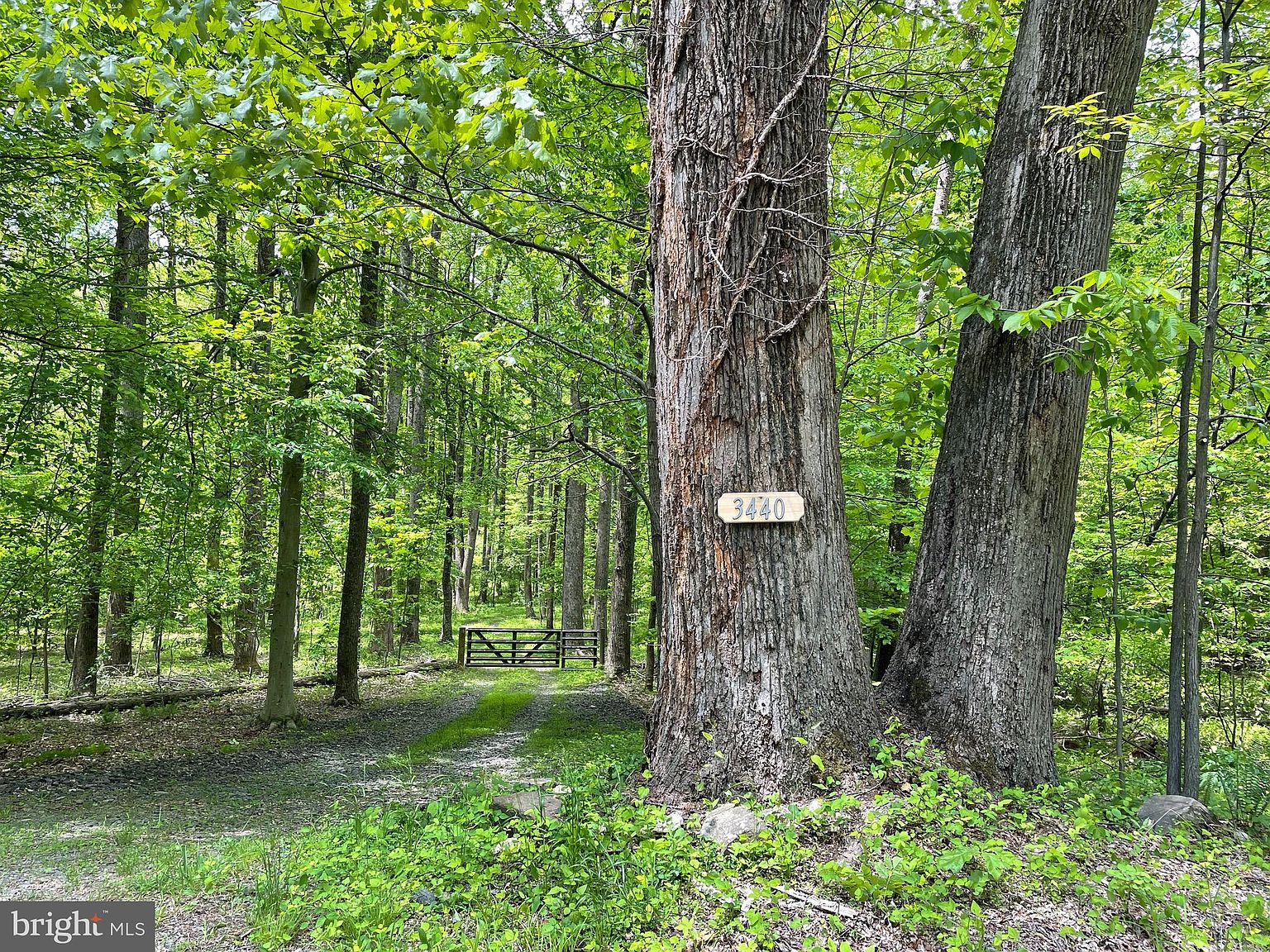 3440 Bull Run Mountain Rd, The Plains, VA 20198 Zillow