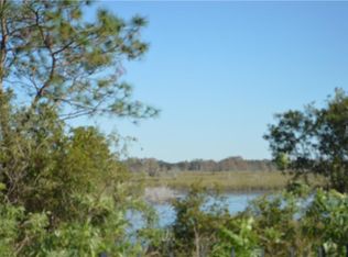 3030 Sunscape Ter, Groveland, FL 34736