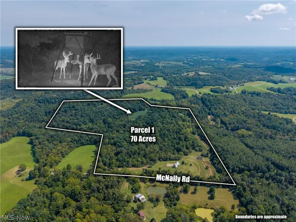 3930 McNally Rd, Stockport, OH 43787