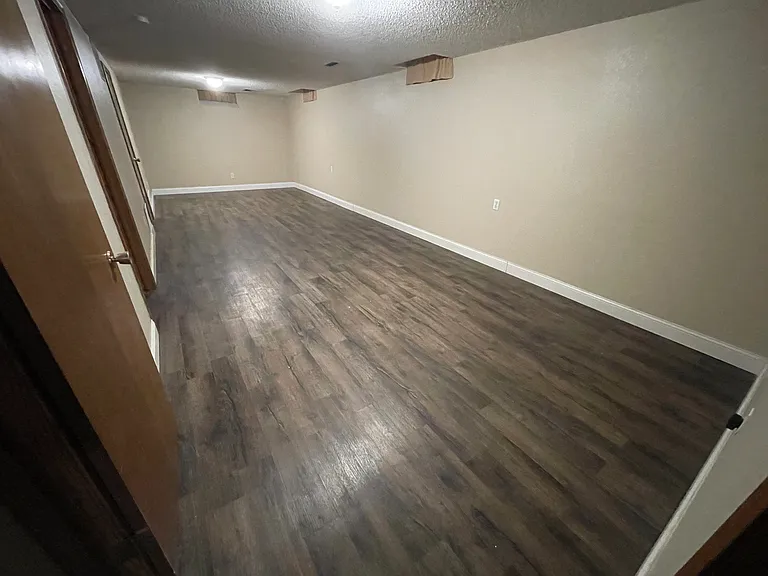 Basement Family Room (No Egress)
