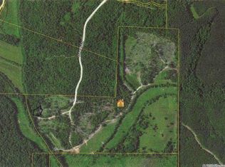 1290 Heath Ln, Enville, TN 38332