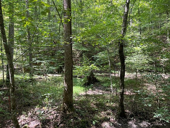 3rd image of LOT 223 Bowline Dr