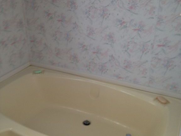 Master bathroom, Garden Tub