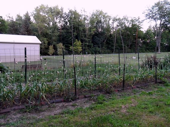 Organic garden