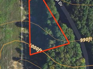 LOT 199 Hilltop Rd, Bellaire, MI 49615