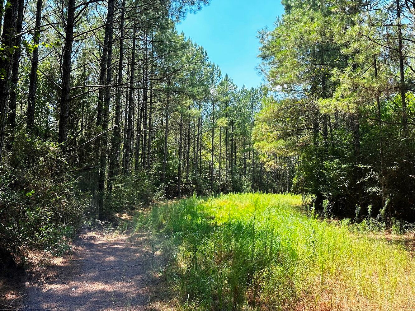 0 Benndale Rd, Wiggins, MS 39577 MLS 11253892 Zillow