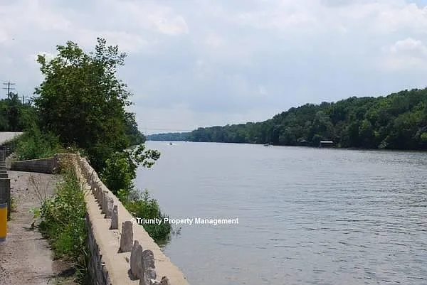 2 bed, 1.5 bath, 960 sqft, $1,200 — Photo 2
