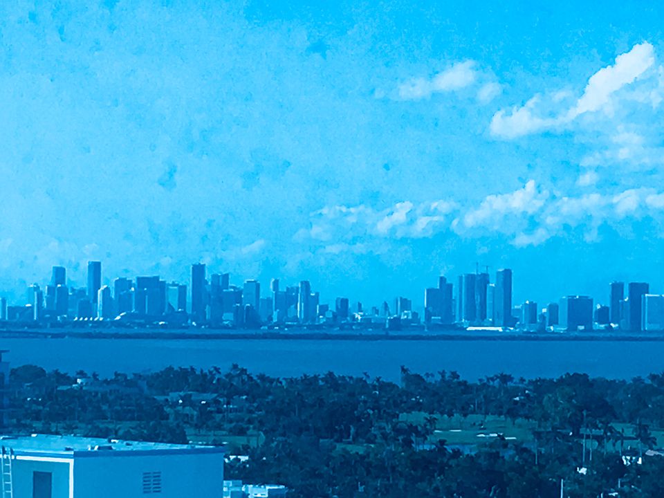 Panoramic view of skyline.