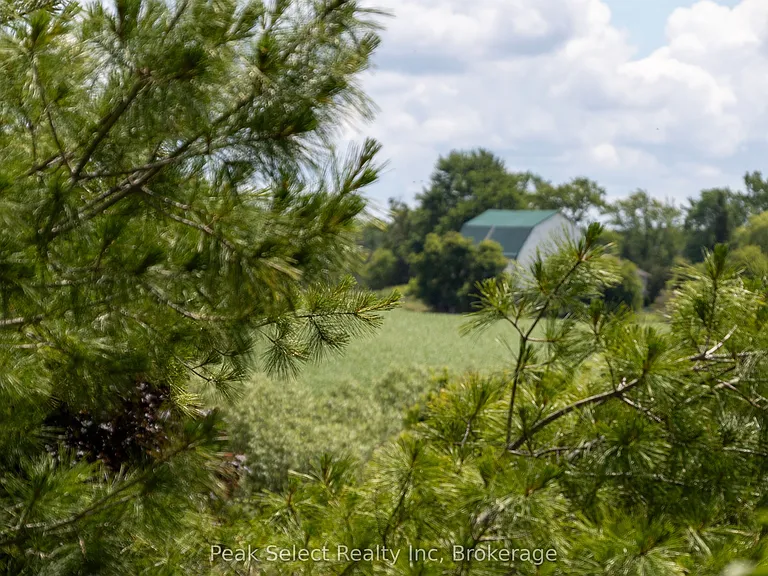 7 Hillside Ct — Photo 48
