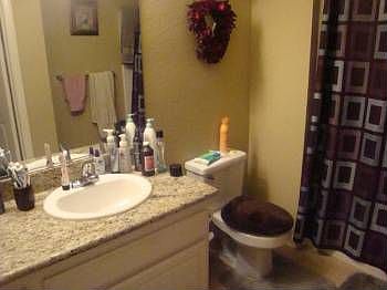 3rd image of 2226 Gill Village Way APT 303