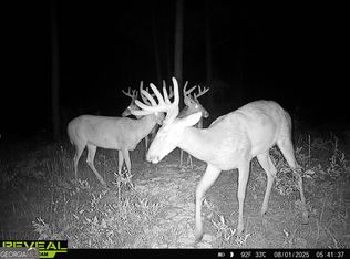 2730 S County Line Rd, Sylvester, GA 31791