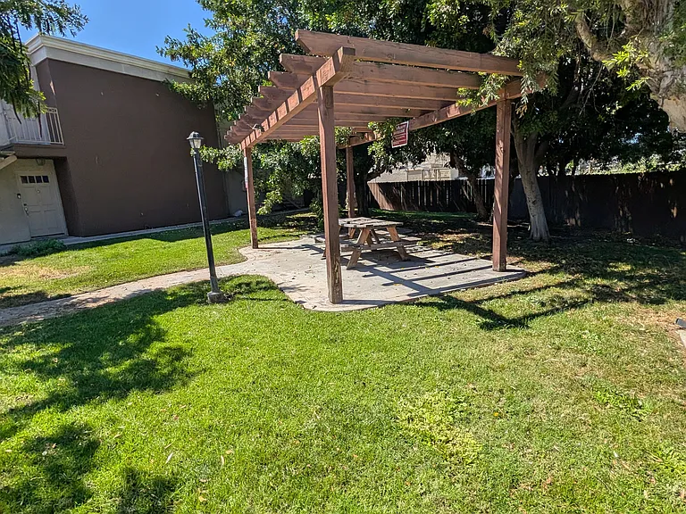 Outdoor Grass and Seating Area