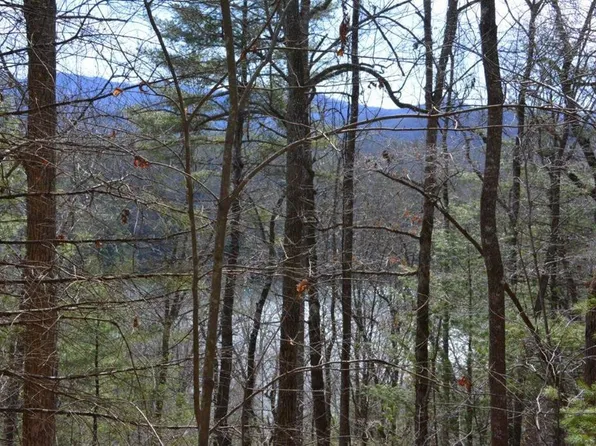 0 Chestnut Rdg #15, Robbinsville, NC 28771