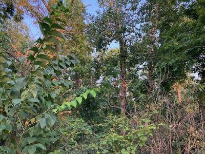 Lot 2 CSM 4904 Legler Valley Road Lot 2, New Glarus, WI, 53574