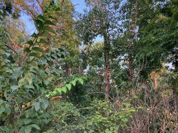 Lot 2 CSM 4904 Legler Valley Road Lot 2, New Glarus, WI 53574