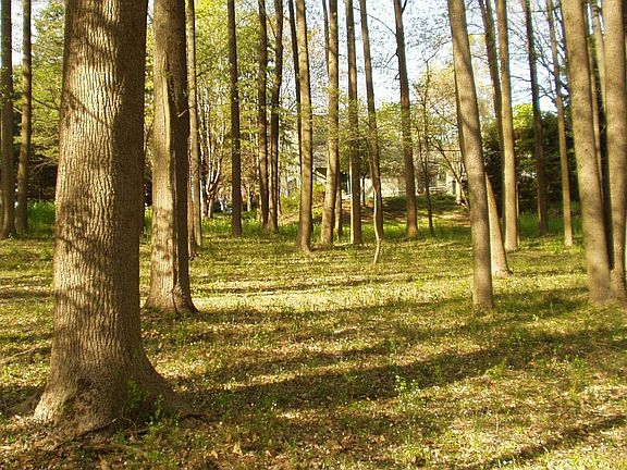 From Rear of Yard to House