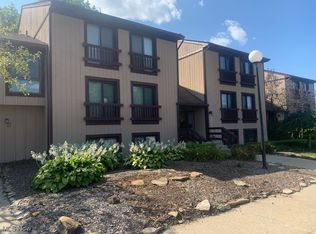 1105 Canyon View Rd APT 502, Northfield, OH 44067