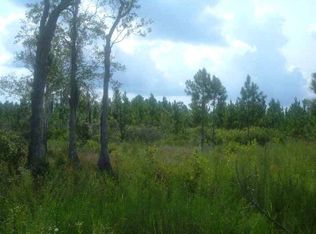 Marshburn Rd, Chiefland, FL 32626