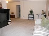 Large Bright Living room