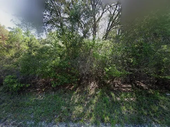 NE 799th St Lot 10, Old Town, FL 32680