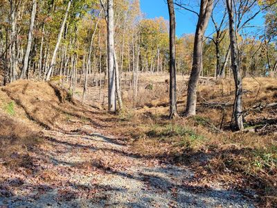0 Pilot Mountain Rd, Moneta, VA, 24121