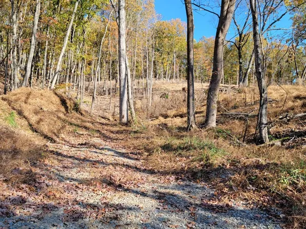 0 Pilot Mountain Rd #5, Moneta, VA 24121