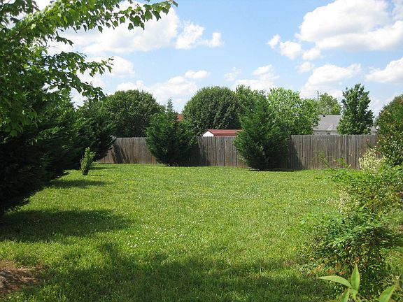 Great back yard