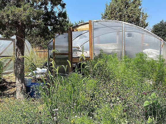 Propagation house