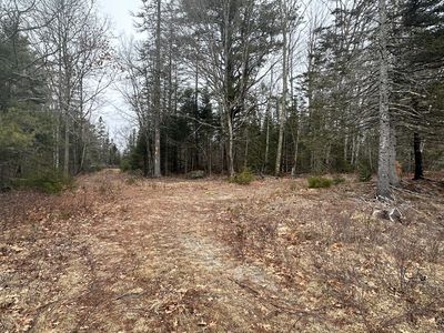 221 Bucksport Road, Ellsworth, ME, 04605