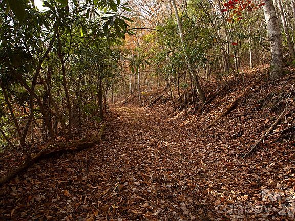 3rd image of Rector Branch Rd #4