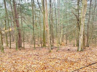 0 Sugar Hill Rd, Beaver Dams, NY 14812