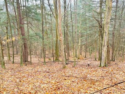 0 Sugar Hill Rd, Beaver Dams, NY, 14812